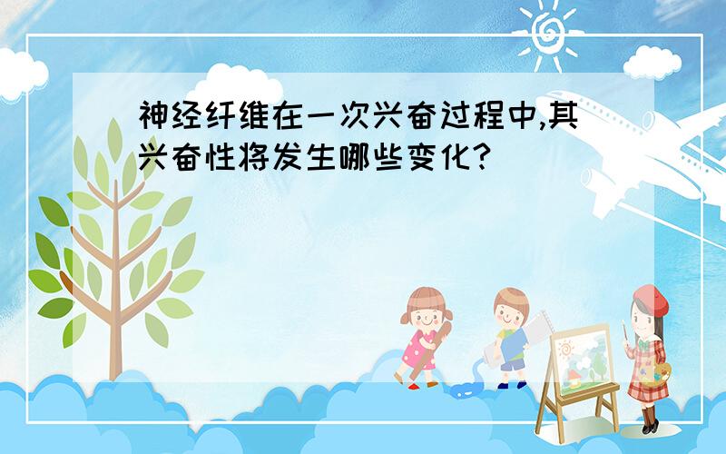 神经纤维在一次兴奋过程中,其兴奋性将发生哪些变化?