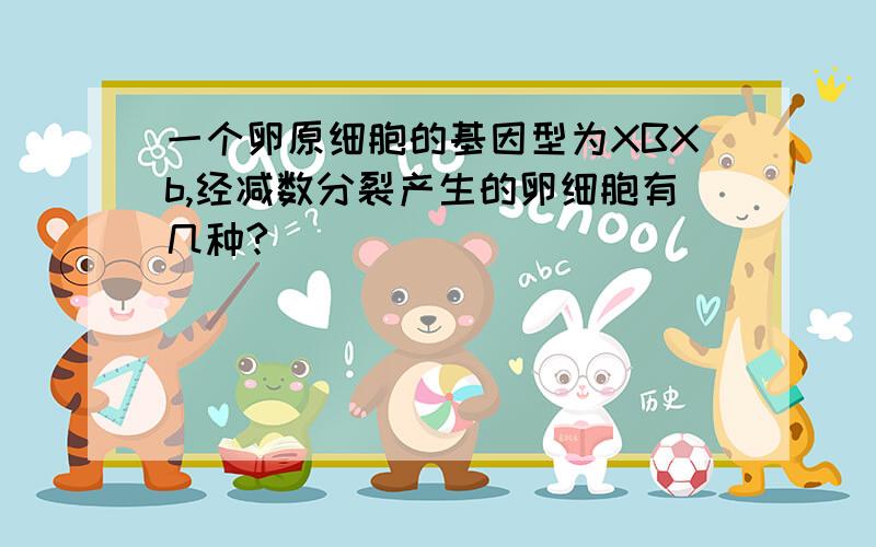 一个卵原细胞的基因型为XBXb,经减数分裂产生的卵细胞有几种?