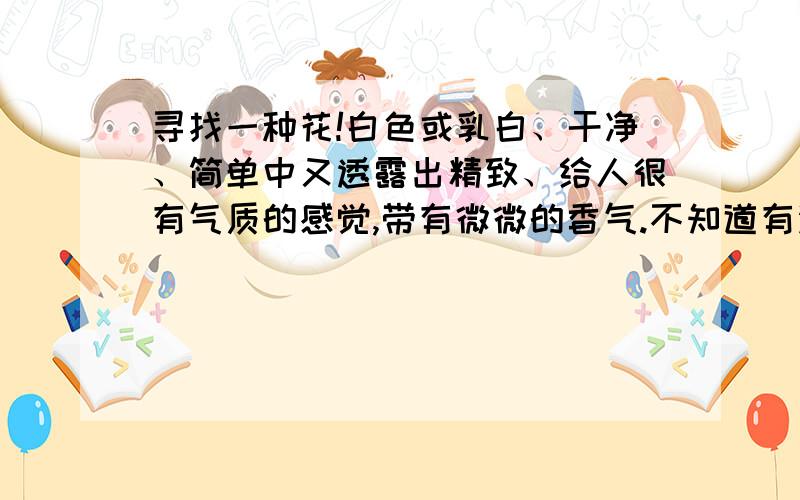 寻找一种花!白色或乳白、干净、简单中又透露出精致、给人很有气质的感觉,带有微微的香气.不知道有没有这样的花,请各位懂花的高手多多指教～