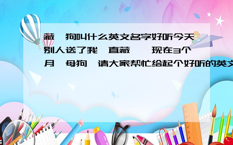 藏獒狗叫什么英文名字好听今天别人送了我一直藏獒,现在3个月,母狗,请大家帮忙给起个好听的英文名字,西西西西,要时尚一点的