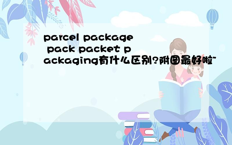 parcel package pack packet packaging有什么区别?附图最好啦~