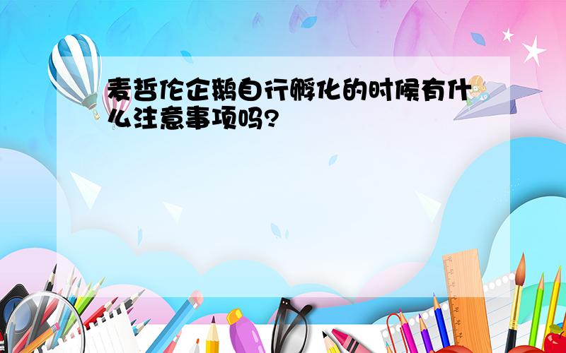 麦哲伦企鹅自行孵化的时候有什么注意事项吗?