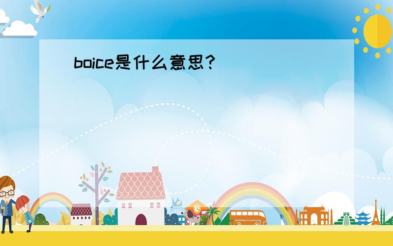 boice是什么意思?