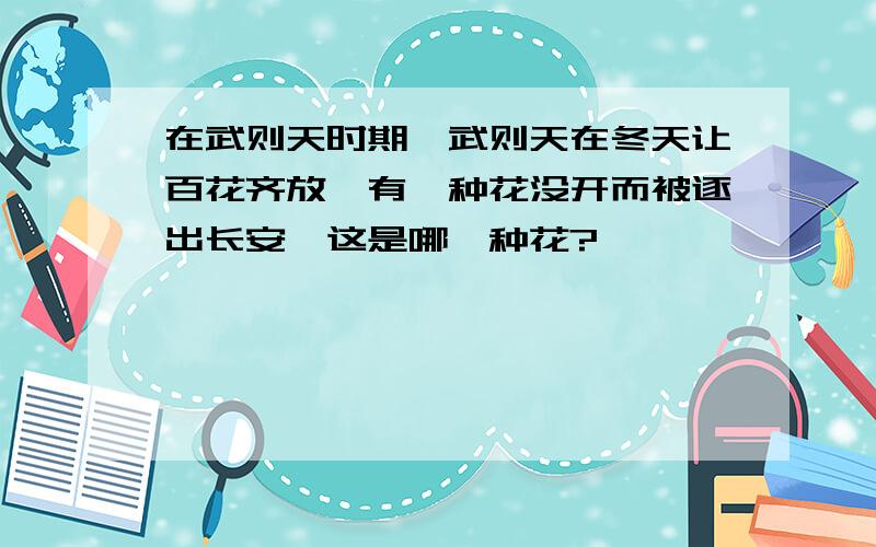 在武则天时期,武则天在冬天让百花齐放,有一种花没开而被逐出长安,这是哪一种花?