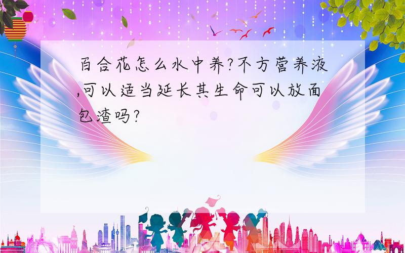 百合花怎么水中养?不方营养液,可以适当延长其生命可以放面包渣吗?