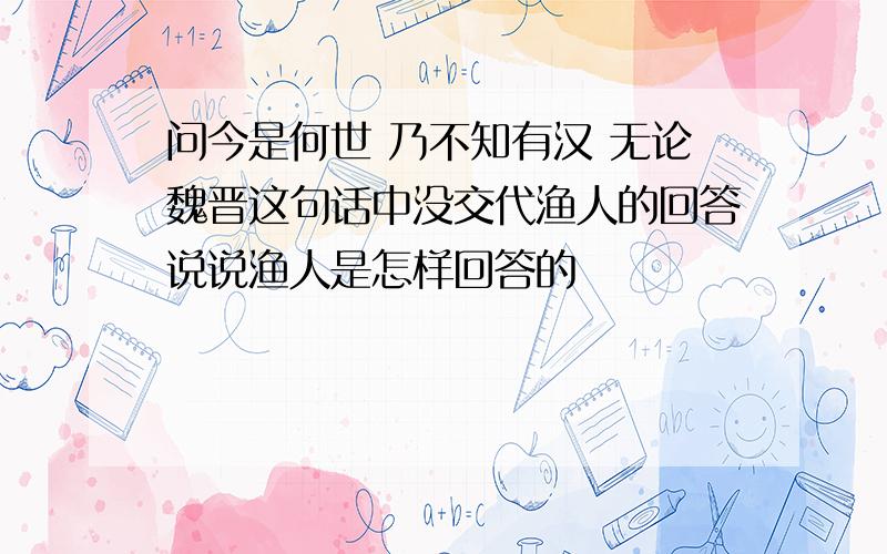 问今是何世 乃不知有汉 无论魏晋这句话中没交代渔人的回答说说渔人是怎样回答的