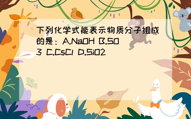 下列化学式能表示物质分子组成的是：A.NaOH B.SO3 C.CsCl D.SiO2