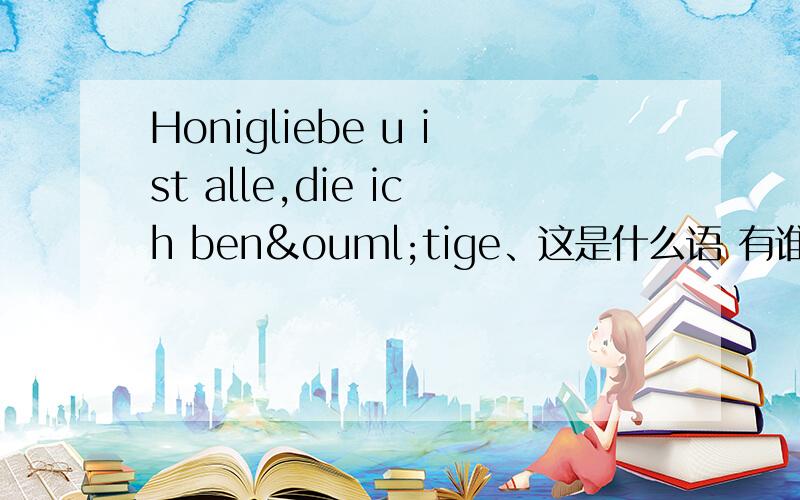 Honigliebe u ist alle,die ich benötige、这是什么语 有谁能帮我解答吗 万分感