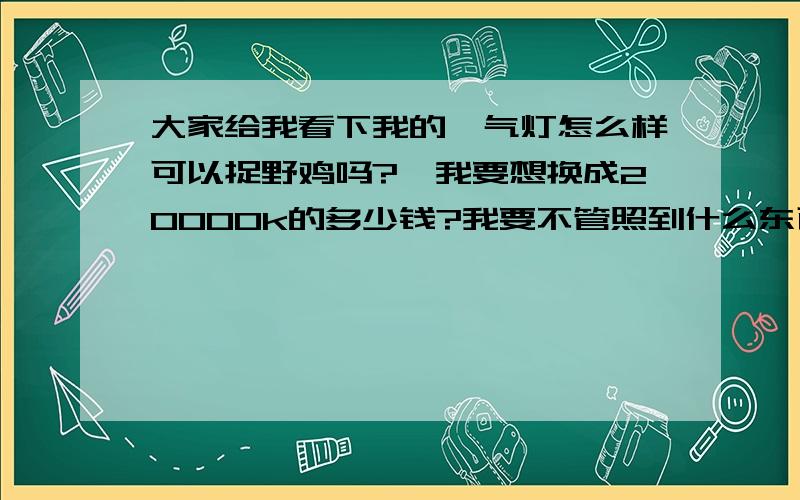 大家给我看下我的疝气灯怎么样可以捉野鸡吗?,我要想换成20000k的多少钱?我要不管照到什么东西我都要它们睁不开眼!