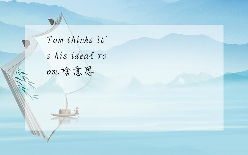 Tom thinks it's his ideal room.啥意思