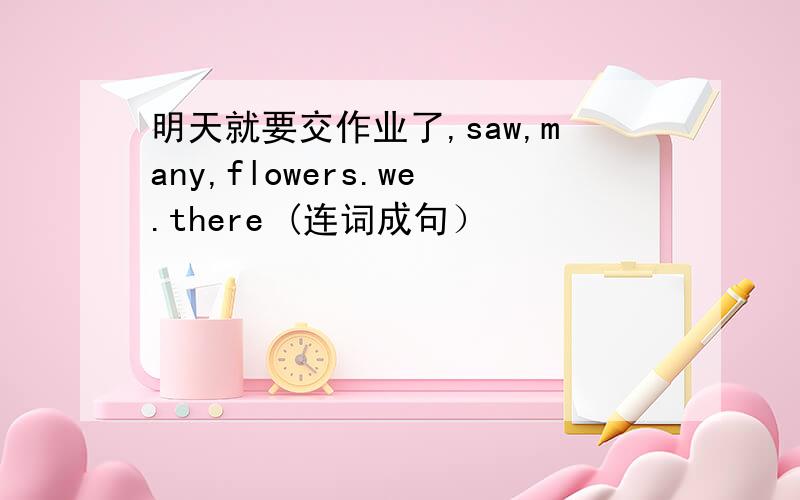 明天就要交作业了,saw,many,flowers.we.there (连词成句）