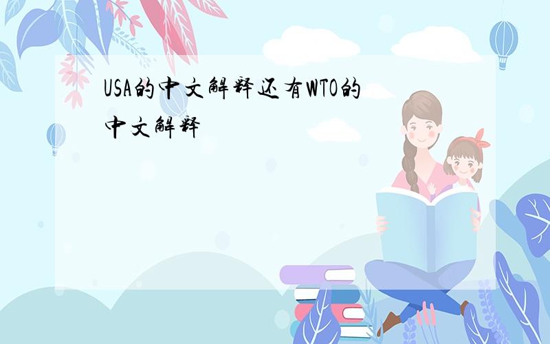 USA的中文解释还有WTO的中文解释