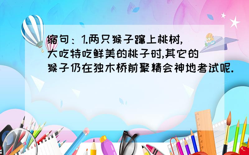 缩句：1.两只猴子蹿上桃树,大吃特吃鲜美的桃子时,其它的猴子仍在独木桥前聚精会神地考试呢.