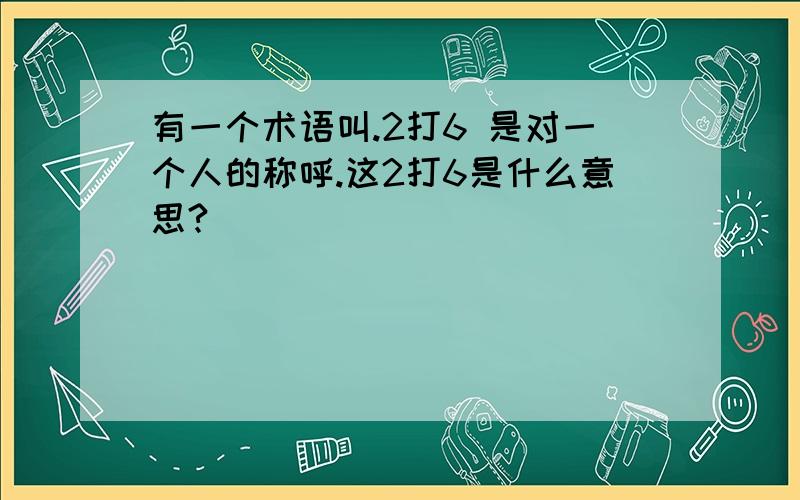 有一个术语叫.2打6 是对一个人的称呼.这2打6是什么意思?