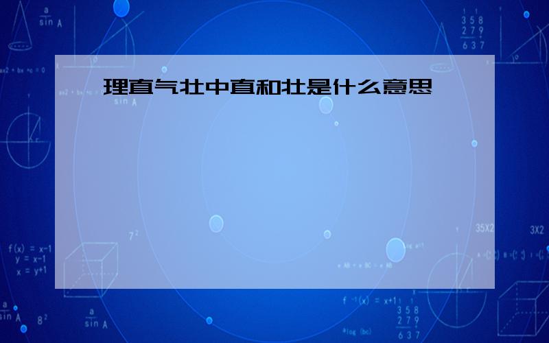 理直气壮中直和壮是什么意思