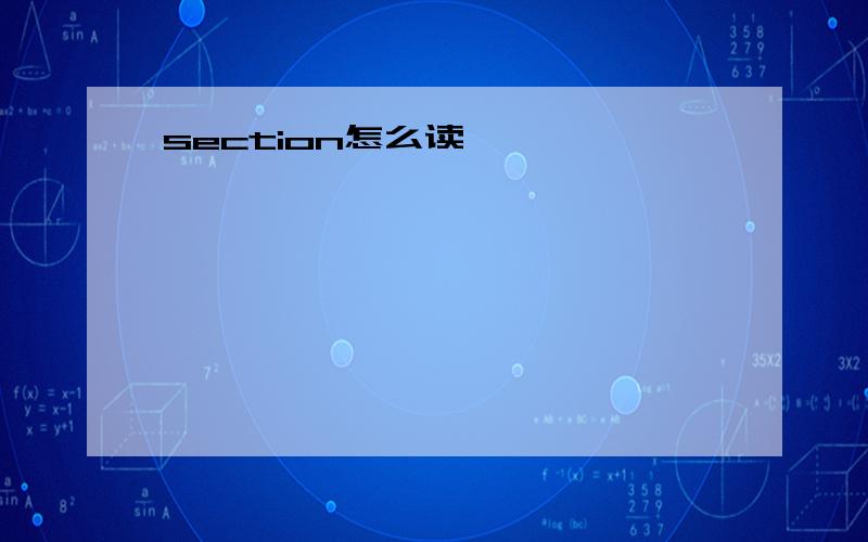 section怎么读