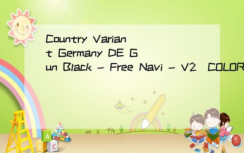 Country Variant Germany DE Gun Black - Free Navi - V2_COLOR什么意思?