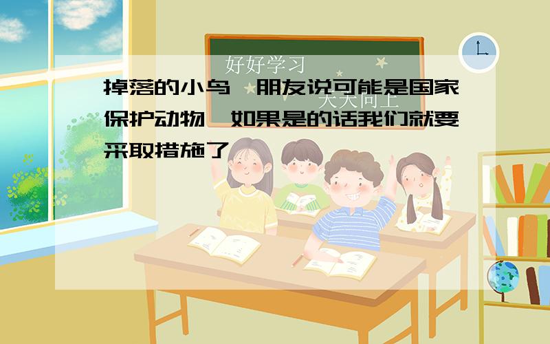 掉落的小鸟,朋友说可能是国家保护动物,如果是的话我们就要采取措施了