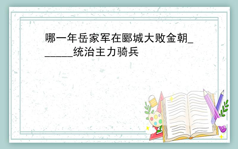 哪一年岳家军在郾城大败金朝______统治主力骑兵