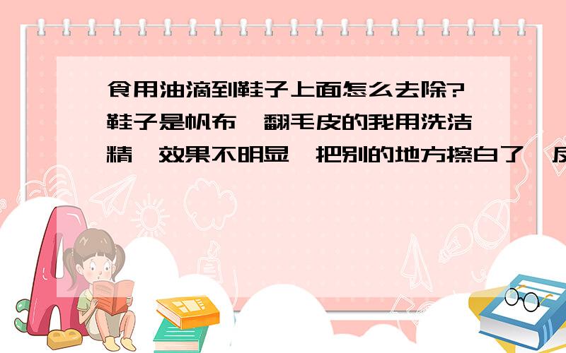 食用油滴到鞋子上面怎么去除?鞋子是帆布,翻毛皮的我用洗洁精,效果不明显,把别的地方擦白了,反而更凸显了油斑.怎么办