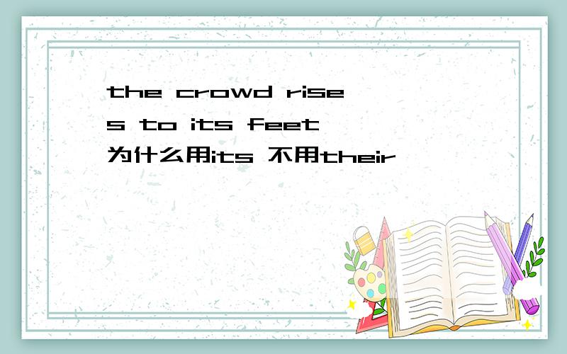 the crowd rises to its feet 为什么用its 不用their