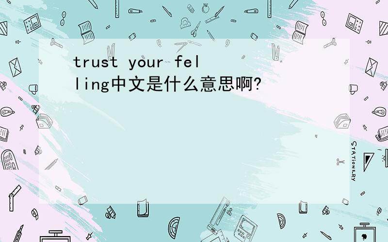 trust your felling中文是什么意思啊?