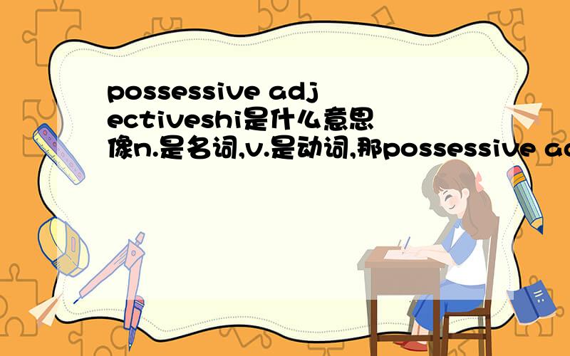 possessive adjectiveshi是什么意思像n.是名词,v.是动词,那possessive adjectiveshi是什么词?