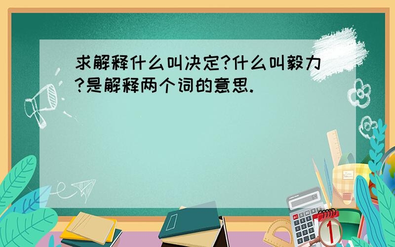 求解释什么叫决定?什么叫毅力?是解释两个词的意思.