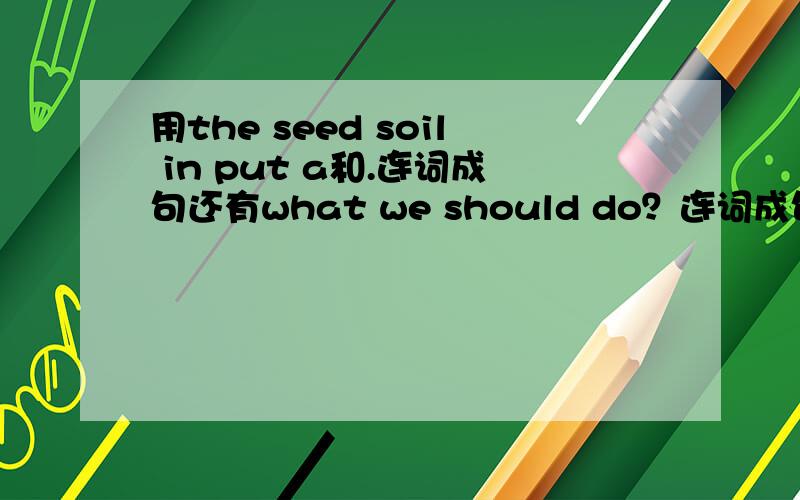 用the seed soil in put a和.连词成句还有what we should do？连词成句
