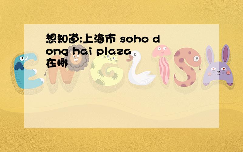 想知道:上海市 soho dong hai plaza 在哪