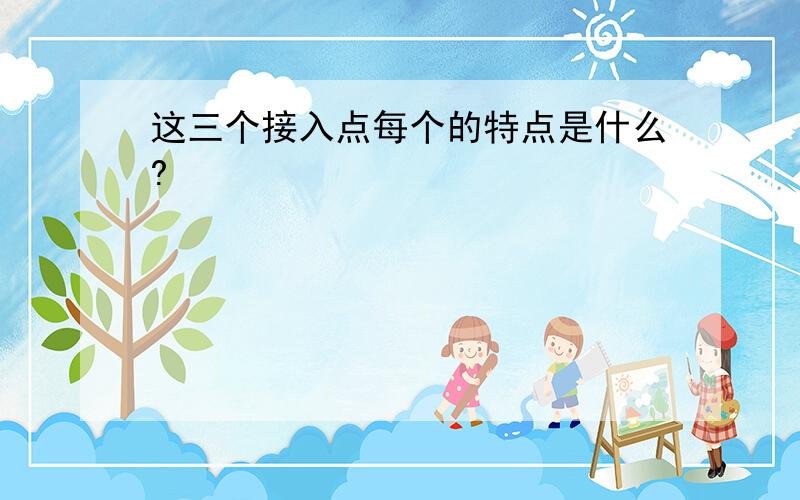 这三个接入点每个的特点是什么?