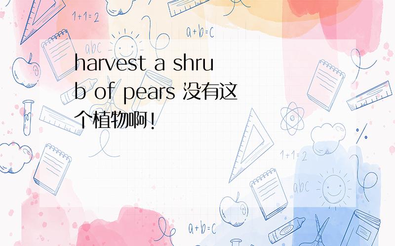 harvest a shrub of pears 没有这个植物啊!