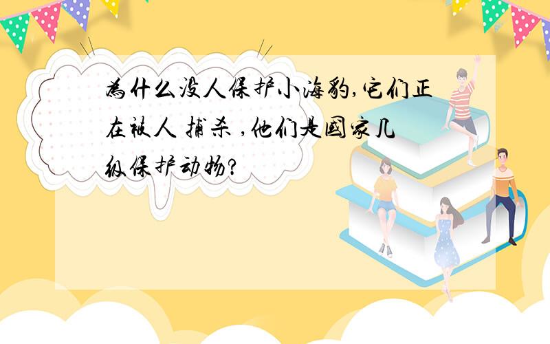 为什么没人保护小海豹,它们正在被人 捕杀 ,他们是国家几级保护动物?