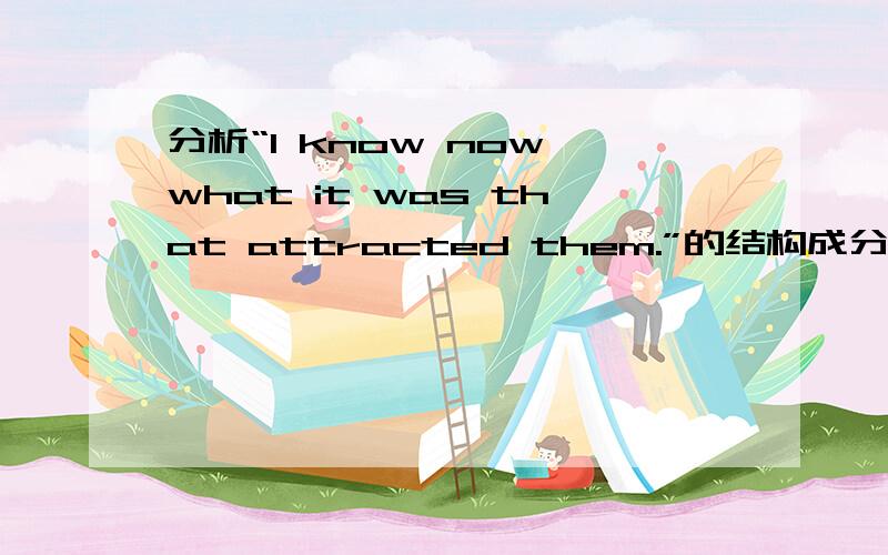 分析“I know now what it was that attracted them.”的结构成分