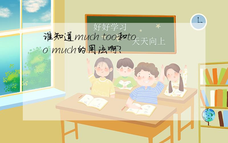 谁知道much too和too much的用法啊?