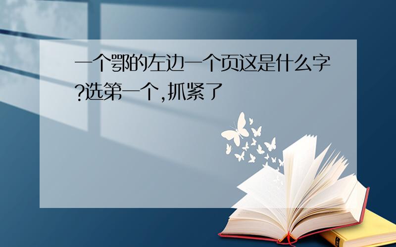 一个鄂的左边一个页这是什么字?选第一个,抓紧了