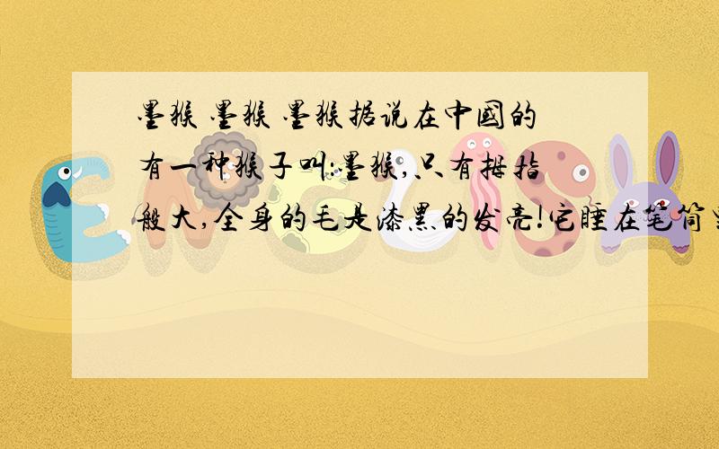 墨猴 墨猴 墨猴据说在中国的有一种猴子叫：墨猴,只有拇指般大,全身的毛是漆黑的发亮!它睡在笔筒里,一听见磨墨,便跳出来,等着,等人写完字,套上笔,它就会舔尽砚上的余墨,然后再跳进笔筒