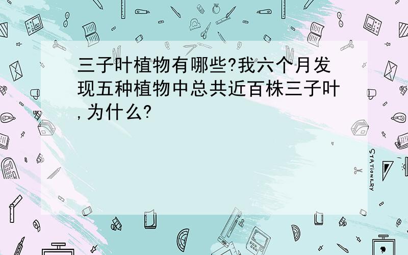 三子叶植物有哪些?我六个月发现五种植物中总共近百株三子叶,为什么?