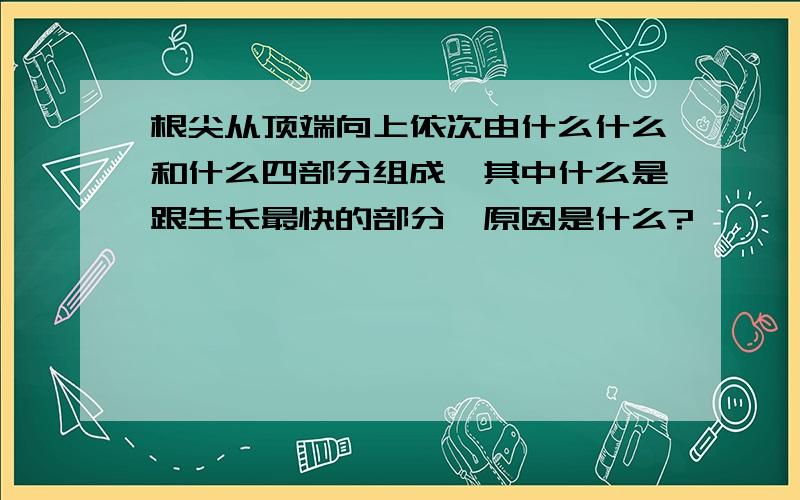 根尖从顶端向上依次由什么什么和什么四部分组成,其中什么是跟生长最快的部分,原因是什么?