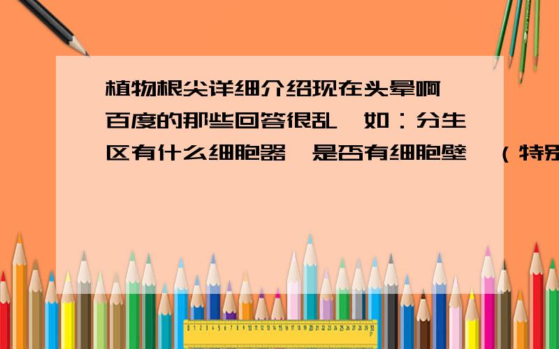 植物根尖详细介绍现在头晕啊,百度的那些回答很乱,如：分生区有什么细胞器,是否有细胞壁,（特别说说液泡,叶绿体那几个）