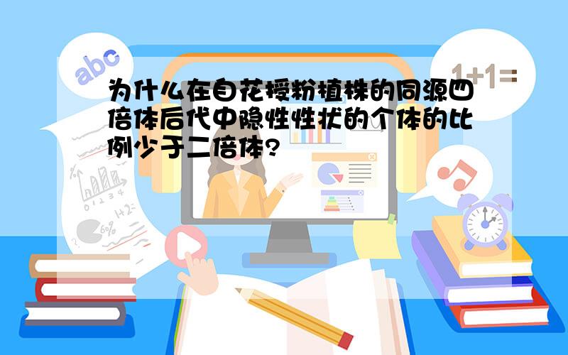 为什么在自花授粉植株的同源四倍体后代中隐性性状的个体的比例少于二倍体?