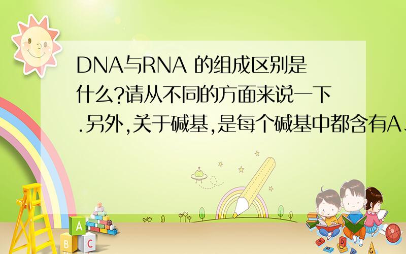 DNA与RNA 的组成区别是什么?请从不同的方面来说一下.另外,关于碱基,是每个碱基中都含有A、G、C、T（或U）,还是这每个碱基中只有一个、可以组成四种不同的类型而这四种类型都能与磷酸、