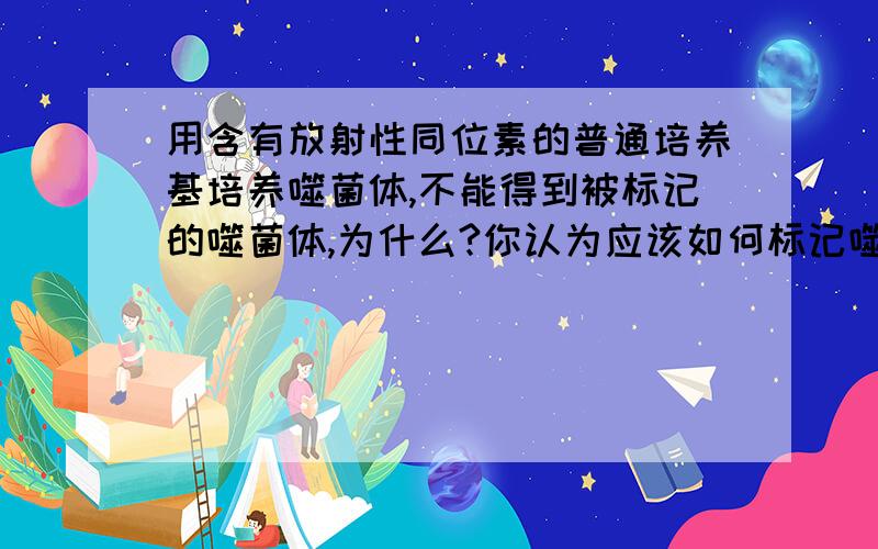 用含有放射性同位素的普通培养基培养噬菌体,不能得到被标记的噬菌体,为什么?你认为应该如何标记噬菌体?