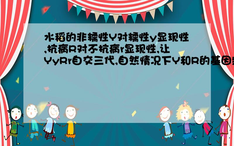 水稻的非糯性Y对糯性y显现性,抗病R对不抗病r显现性,让YyRr自交三代,自然情况下Y和R的基因频率变化是?