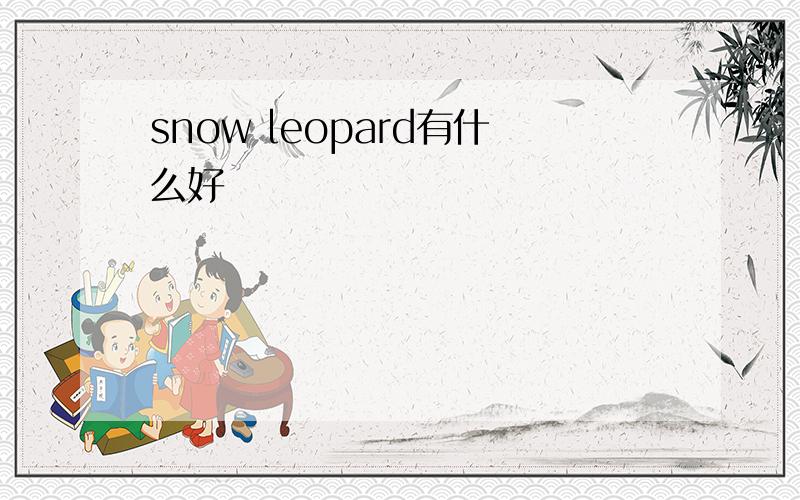 snow leopard有什么好