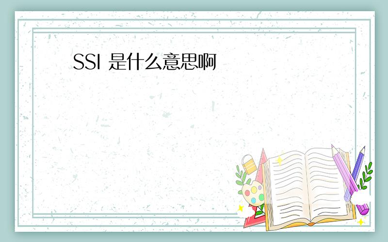 SSI 是什么意思啊