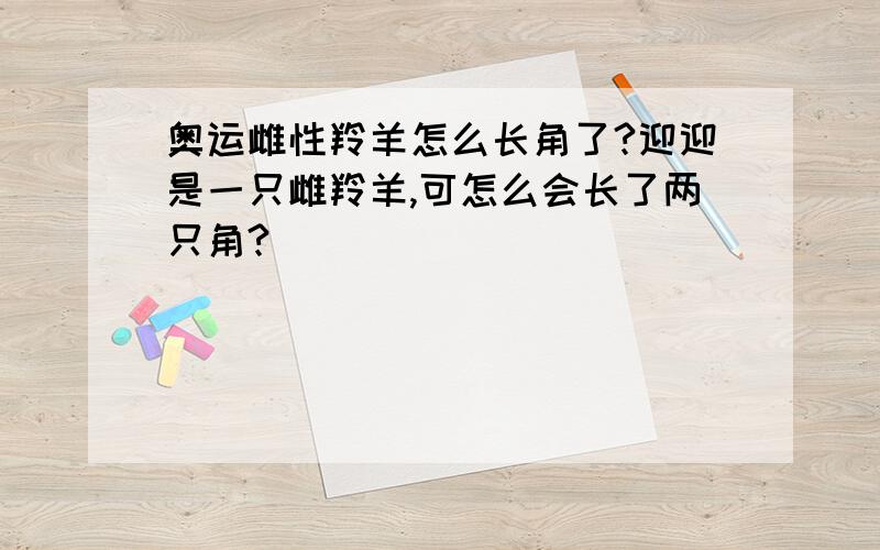 奥运雌性羚羊怎么长角了?迎迎是一只雌羚羊,可怎么会长了两只角?