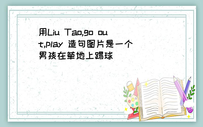 用Liu Tao,go out,play 造句图片是一个男孩在草地上踢球