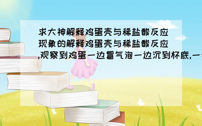 求大神解释鸡蛋壳与稀盐酸反应现象的解释鸡蛋壳与稀盐酸反应,观察到鸡蛋一边冒气泡一边沉到杯底,一会又慢慢上浮,到接近液面时又下沉,求解释实验现象