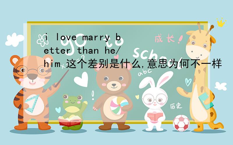 i love marry better than he/him 这个差别是什么,意思为何不一样